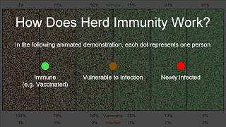 Herd Immunity [upl. by Ahsertal]