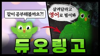 듀오링고는 대체 어쩌다 이런 이미지가 되었는가 [upl. by Anertac882]