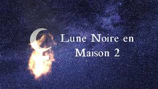 ⚸ Lune Noire  Lilith en Maison 2  Astrologie [upl. by Eenal304]