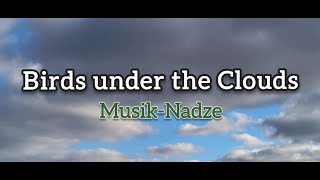 Birds under the Clouds  MusikNadze [upl. by Oetomit43]