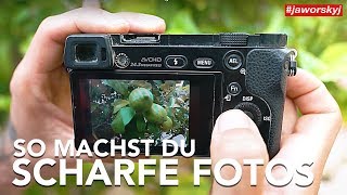 SCHARF STELLEN 📷 So FOKUSSIERST du RICHTIG  Fotografieren lernen [upl. by Aneer206]