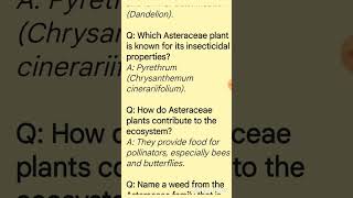 Asteraceae Family economic amp ecological importance botany compositeae shorts [upl. by Melonie177]