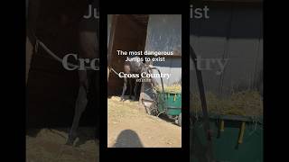 The Cottesmore leapcheck comments part 1 horse equestrianvibes equestrian edit dangerous [upl. by Shank]