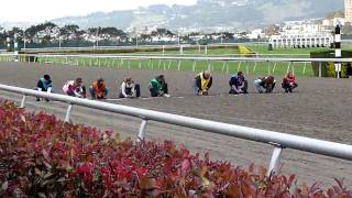 Wiener dog races Final [upl. by Jeniffer]