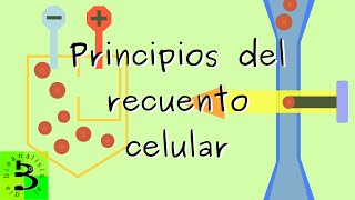 ⃣ ¿Cómo se realiza el recuento celular en los instrumentos de hematología [upl. by Syman928]