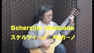 Ponce Scherzino Mexicano スケルツィーノ メヒカーノ ポンセ クラシックギター [upl. by Meta]