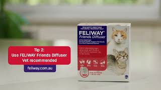 AU FELIWAY  Top Vet Tips for Conflict 15s [upl. by Jo Ann796]