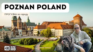 Город Poznan Poland  прогулка по улицам [upl. by Jaela]