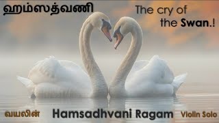 Hamsadhvani Ragam  Violin Solo  ஹம்சத்வனி  ராமஸ்வாமி தீக்ஷதர்  The Cry of the Swan [upl. by Mayhs]