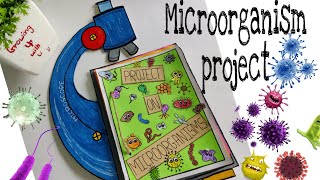 Project on Microorganisms l Grade 8 [upl. by Nycila391]