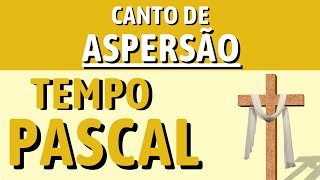 CANTOS PARA O TEMPO PASCAL  Aspersão quotEu vi eu viquot [upl. by Allie]