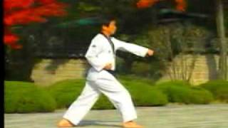 3 Taekwondo Poomsae Taegeuk Sam Jang WTF [upl. by Alburg671]