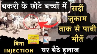 बकरी के बच्चों में सर्दी जुकाम 👉 घर बैठे इलाज Bakri ke Bacche ko sardi Jukam lag jaye to kya karen [upl. by Joelynn]