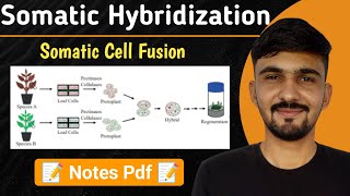 Somatic Hybridization  Somatic Cell Fusion  By Dadhich Sir [upl. by Annoyi]