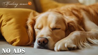 12 Hours Of Dog Music🎵Calming Music for Dogs with Anxiety🐶🎵Dog Sleep Music for Dog Relaxation🐶 [upl. by Ennagem498]