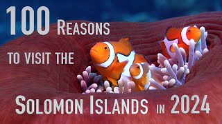 100 Reasons to visit the Solomon Islands in 2024 [upl. by Kelwunn]