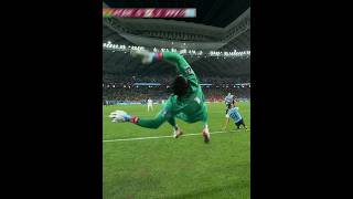 Impossible Goalkeeper Saves [upl. by Vandyke890]