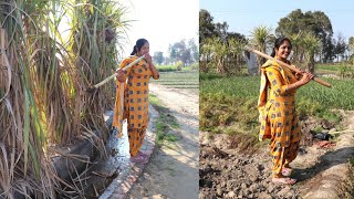 Punjab Village Life💙Aloo Gazar Recipe💙 Rural life of PunjabIndia [upl. by Sargent185]