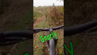 Mountain biking is Gnarly mtblifeshortsvideo mtb [upl. by Arreit]