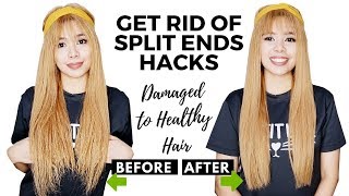 Tips On Trimming Split Ends 7 Hacks On How To Get Rid Of Them  How To Deal With Damaged Hair [upl. by Kella]