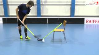 Stickhandling  mit Hindernis [upl. by Alyworth721]