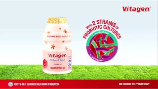 VITAGEN 3 Gut Health Benefits  Stronger Immunity Sharper Mental Clarity amp Positive Mood [upl. by Georgette]