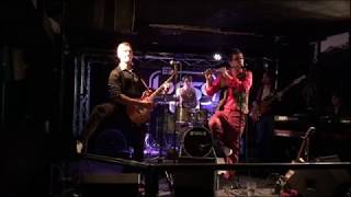 The Jethrosexuals  Fylingdale Flyer live  Bar Loose Helsinki 1452019 [upl. by Peh]