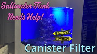 Saltwater Tank with canister filter [upl. by Mckenzie371]