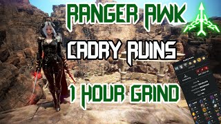 BDO  Ranger Awk PvE l Cadry Ruins [upl. by Edwina]