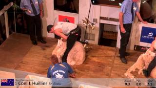 Open Shearing Heats  2015 Golden Shears [upl. by Aloz]