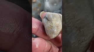 Michigan Fossil Hunting Paradise Near Me buriedtreasure fossil thefinders rockhounding [upl. by Napas]