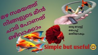 മഴ കാരണം നിങ്ങളുടെ മീനുകൾ ചാടി പോകുന്നുണ്ടോAre your fish jumping due to rainSimple but useful🤓👍 [upl. by Nnylasor932]