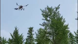 Drone spot spraying for trees [upl. by Lawford427]