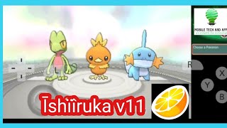 Citra Ishiiruka v11 fix water pokèmon color bug [upl. by Isied724]