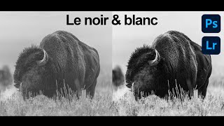 Le noir et blanc dans Photoshop [upl. by Tabbie]