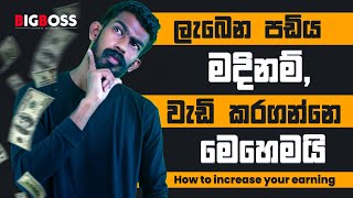 ලැබෙන පඩිය මදිනම් වැඩි කරගන්නේ මෙහෙමයි  How to increase your earning  Big Boss [upl. by Neurath612]