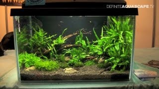 Aquascaping  Aquarium ideas from ZooBotanica 2013 pt3 [upl. by Sairtemed]