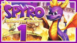 SPYRO REIGNITED TRILOGY  01 🐲 Spyro in High Definition [upl. by Ferna]