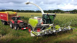 Maïs oogst 2020 met Claas Jaguar 970 Loonb Sandee Onstwedde Alteveer [upl. by Drannek298]