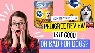 The Pedigree Dog Food Review Is It Good Or Bad For Dogs [upl. by Giffard]