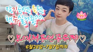 서동연꽃축제 스타투 부여 연꽃축제 다홍이 최강테마 다온예술단 당진삽교호 품바 공연 음방 먹방 축제 동동구루무 [upl. by Holna]