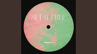 Set It Free MUNA Remix [upl. by Millard]