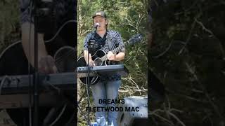 Dreams Fleetwood Mac Live Loop Cover [upl. by Benson]