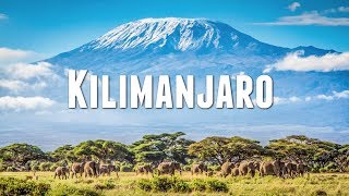 CLIMBING MOUNT KILIMANJARO [upl. by Ilka761]