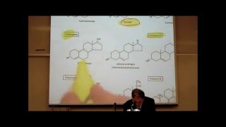 PHARMACOLOGY ACTIONS amp USES OF CORTICOSTEROIDS by Professor Fink [upl. by Ahsinat]