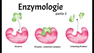 ENZYMOLOGIE PART 2  CINETIQUE  REGULATEURS  ALLOSTERIE [upl. by Vange911]