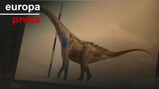 Qunkasaura se une al Lohuecotitan para formar nuevo grupo de dinosaurios afincados en Cuenca [upl. by Alika]