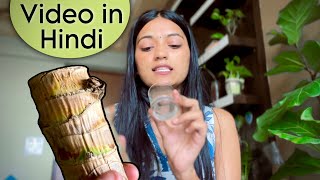 Hindi  Brazilian Wood Plant की care कैसे करें Brazilian Lucky wood की जानकारी हिंदी में [upl. by Lisetta524]