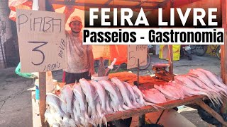 INCRÍVEIS CENAS DO MERCADO DE ALIMENTOS NA FEIRA LIVRE DE ICOARACI  Tour Gastronômico [upl. by Thrasher]