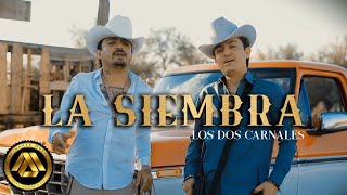 Los Dos Carnales  La Siembra Video Oficial [upl. by Inaej]